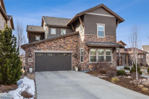 10619 Pine Chase Court, Highlands Ranch, CO 80126 - #: 3808293