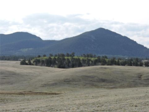 122 Bandelier Court Hartsel CO 80449
