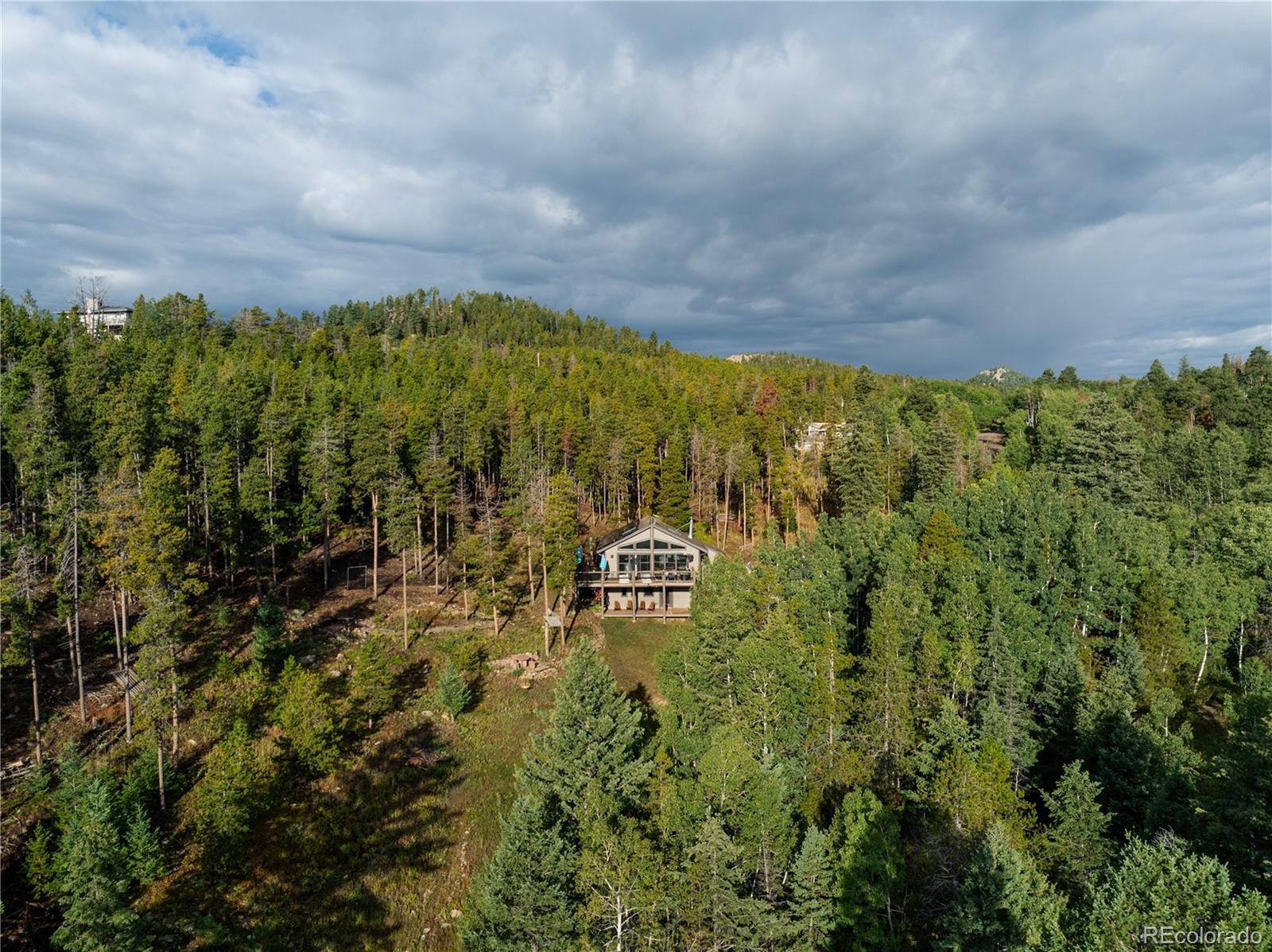 20254 Goins Drive