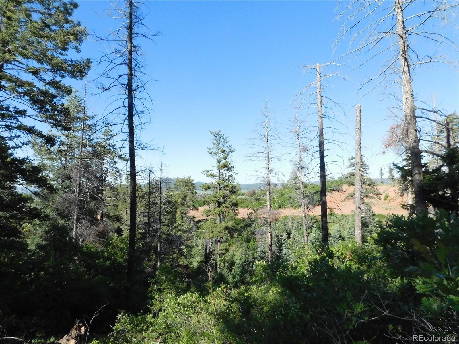5425 Cheyenne Drive