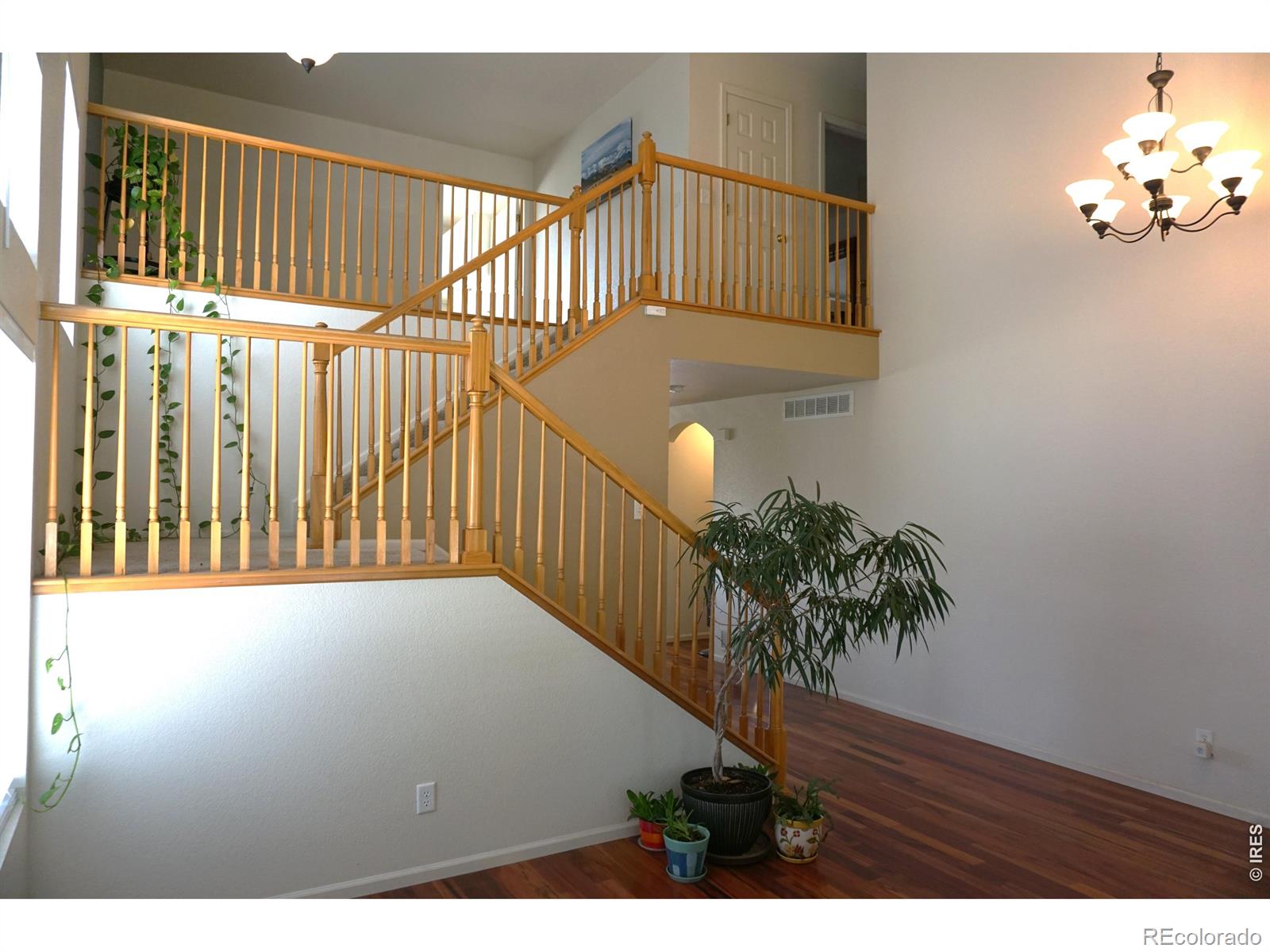 12609 Jersey Circle W