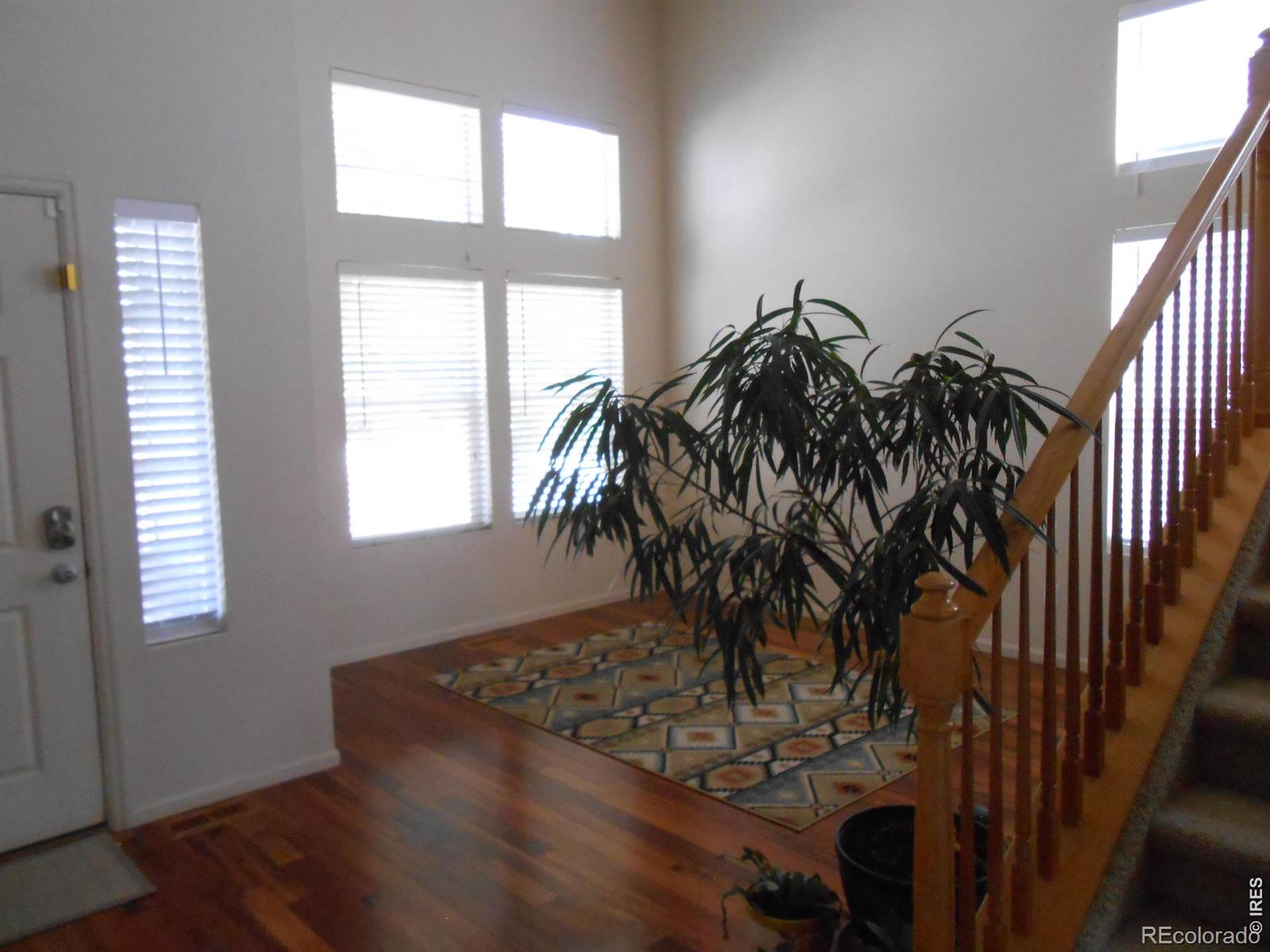 12609 Jersey Circle W