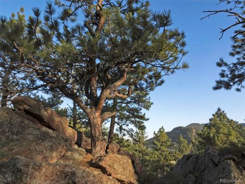 Unimproved Land in Arvada CO 20 Canyon Pines Drive 23.jpg