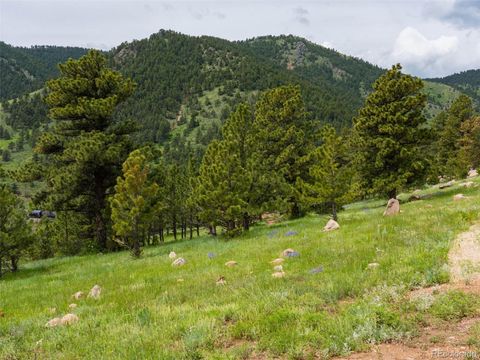 Unimproved Land in Arvada CO 20 Canyon Pines Drive 3.jpg