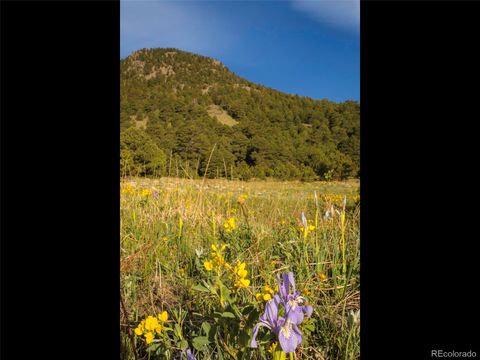 Unimproved Land in Arvada CO 20 Canyon Pines Drive 29.jpg