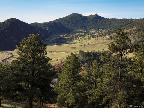 Unimproved Land in Arvada CO 20 Canyon Pines Drive 33.jpg