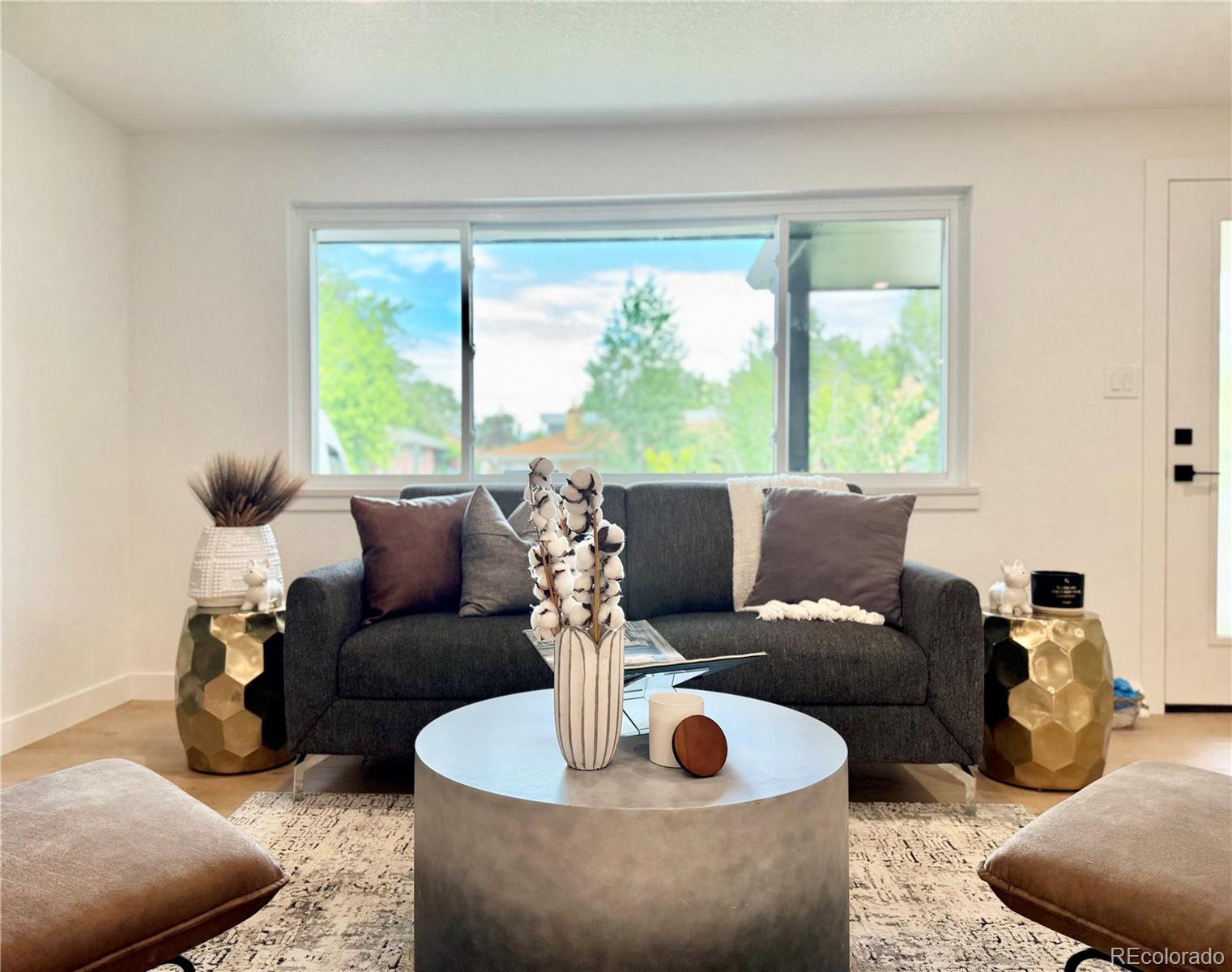 8873 Princeton Street, Westminster, CO, 80031 3 8873 Princeton Street