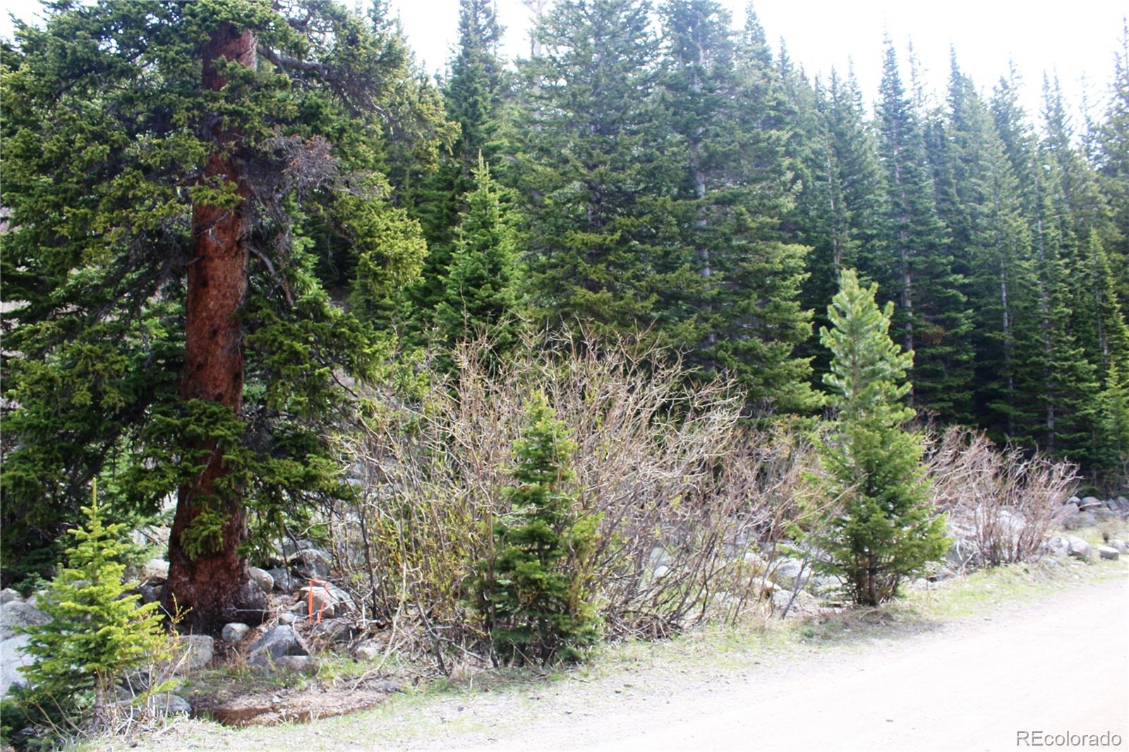 00 Mine Road