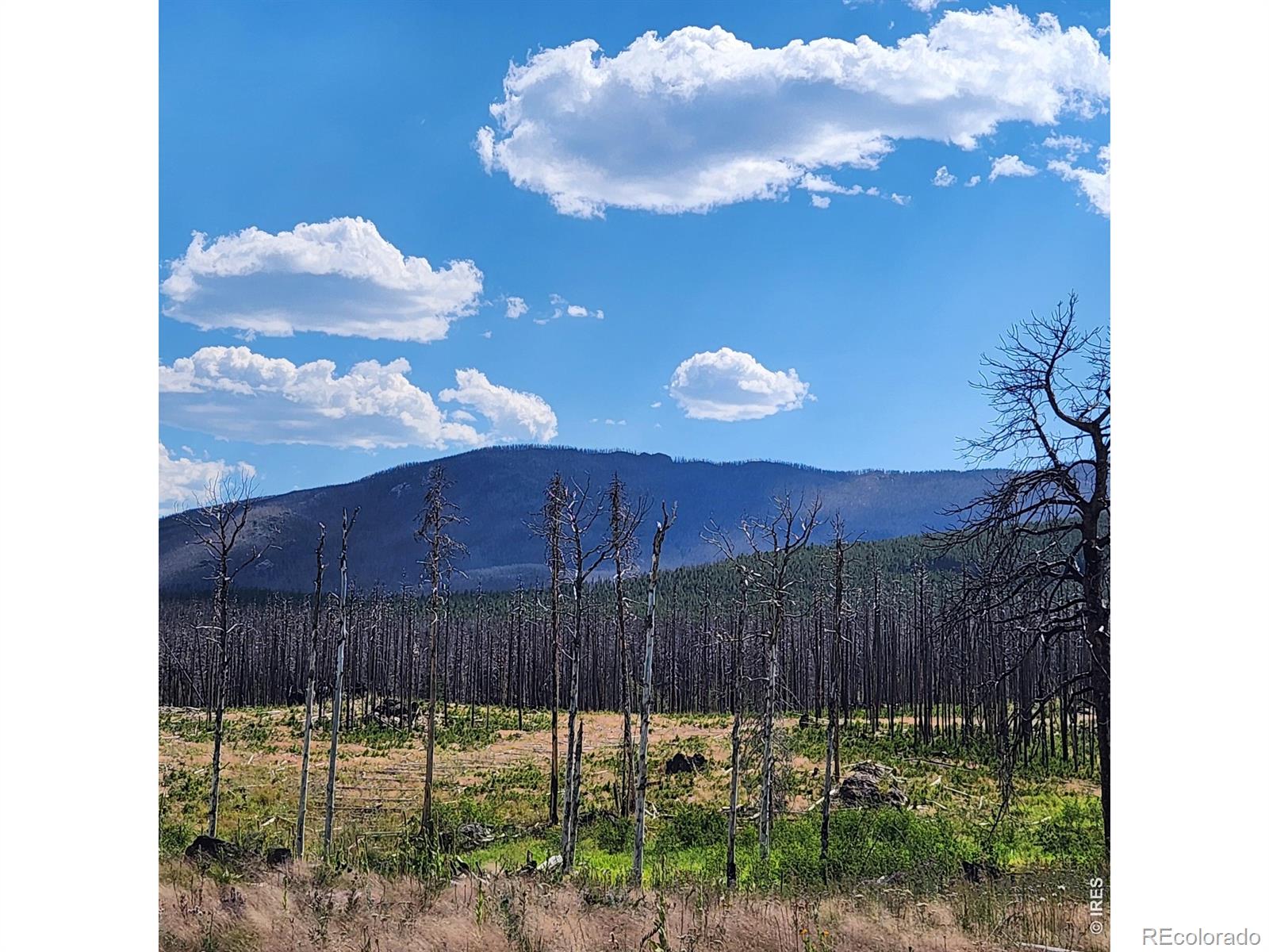 529 Quartz Road