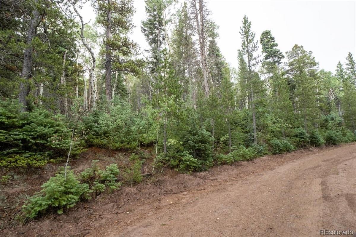 Lot 2260 Speciale Place