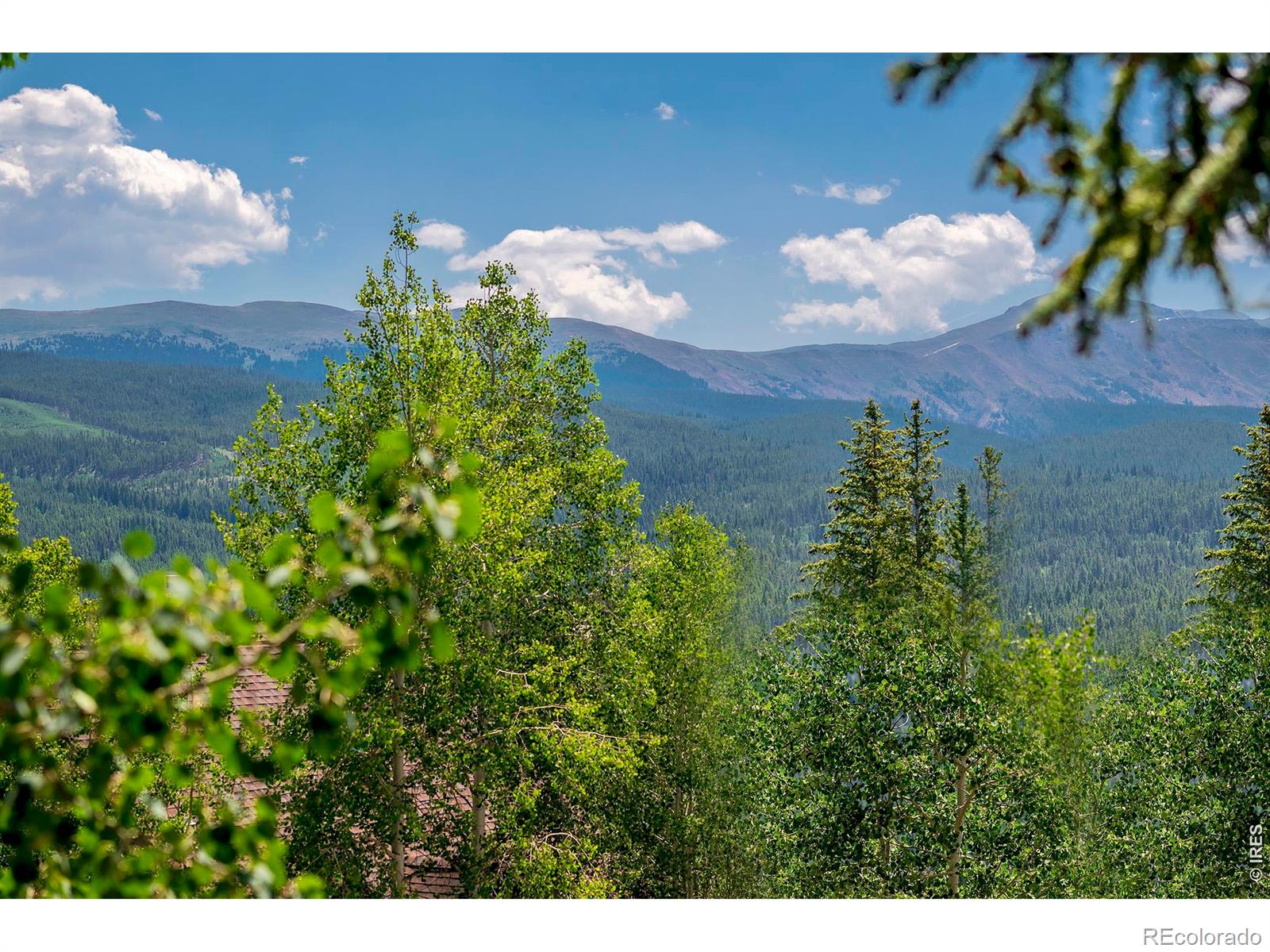 139 Forest Trail