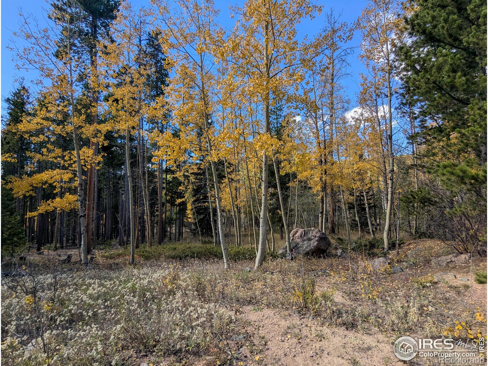 11 Bear Gulch Road