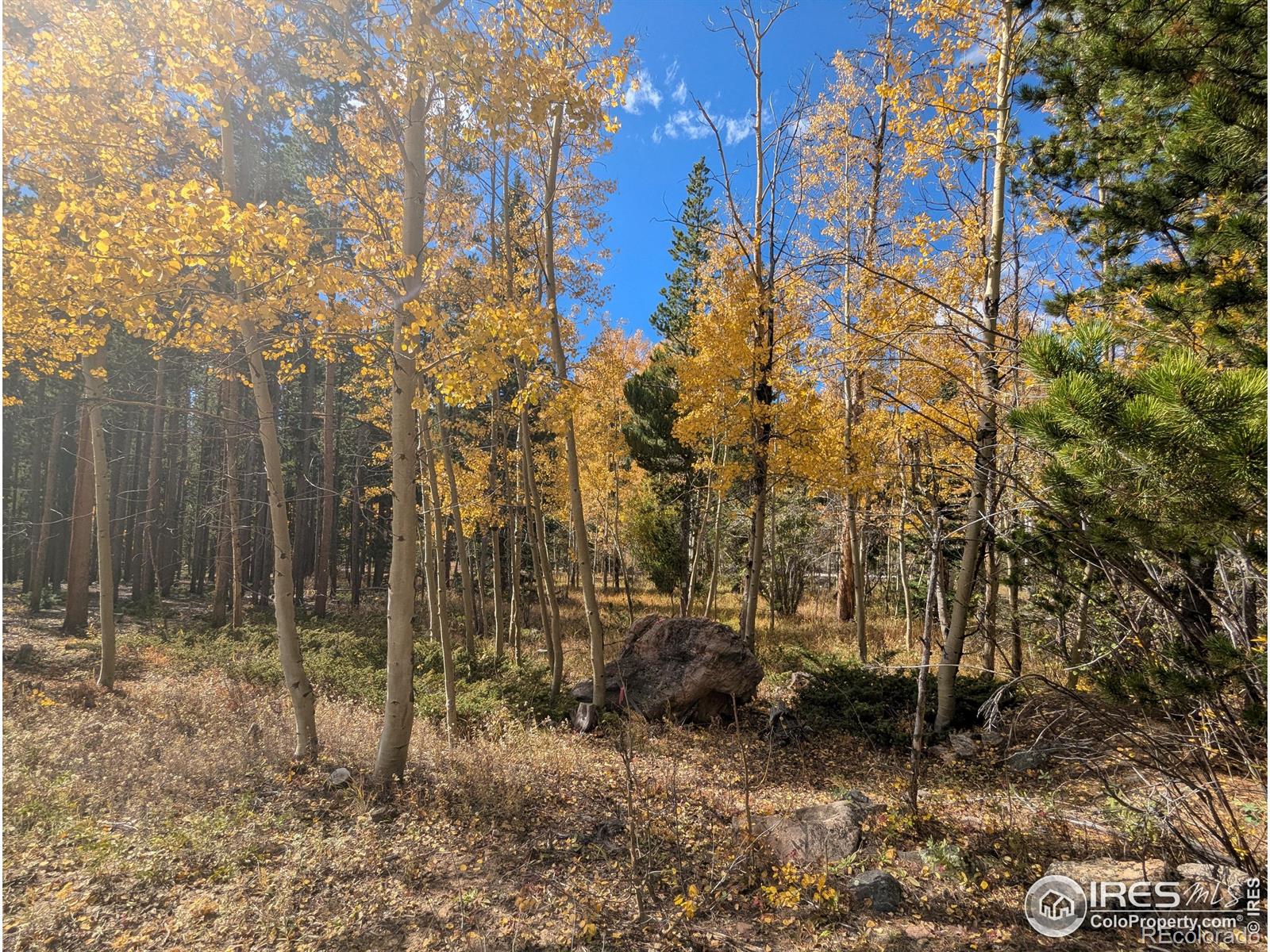 11 Bear Gulch Road
