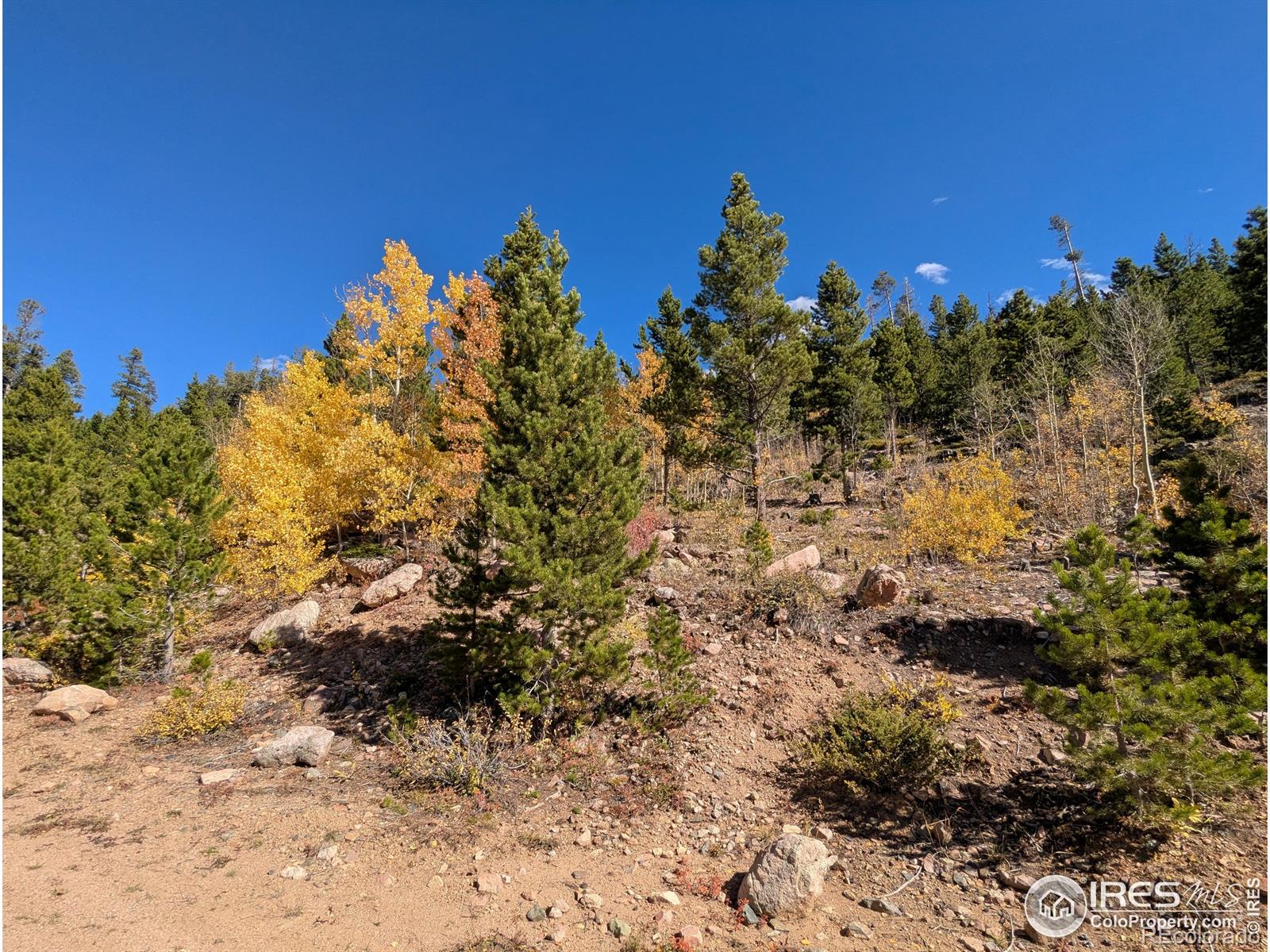 11 Bear Gulch Road