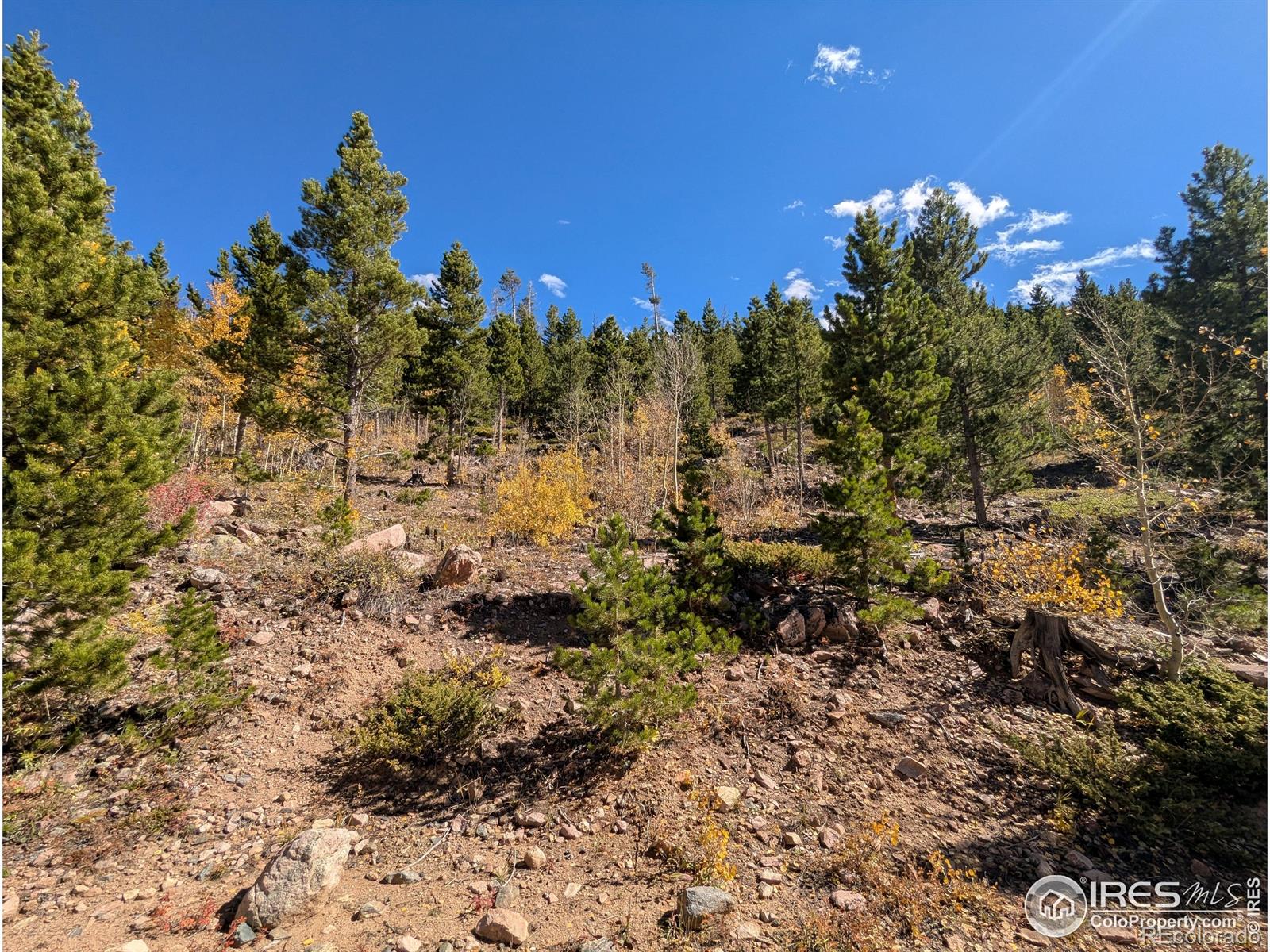 11 Bear Gulch Road