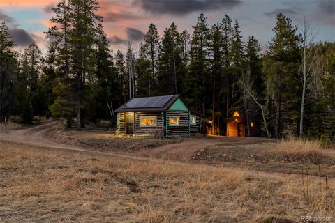 9719 Beaver Pond Conifer CO 80433