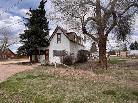 941 French Street, Silver Cliff, CO 81252 - #: 1829748