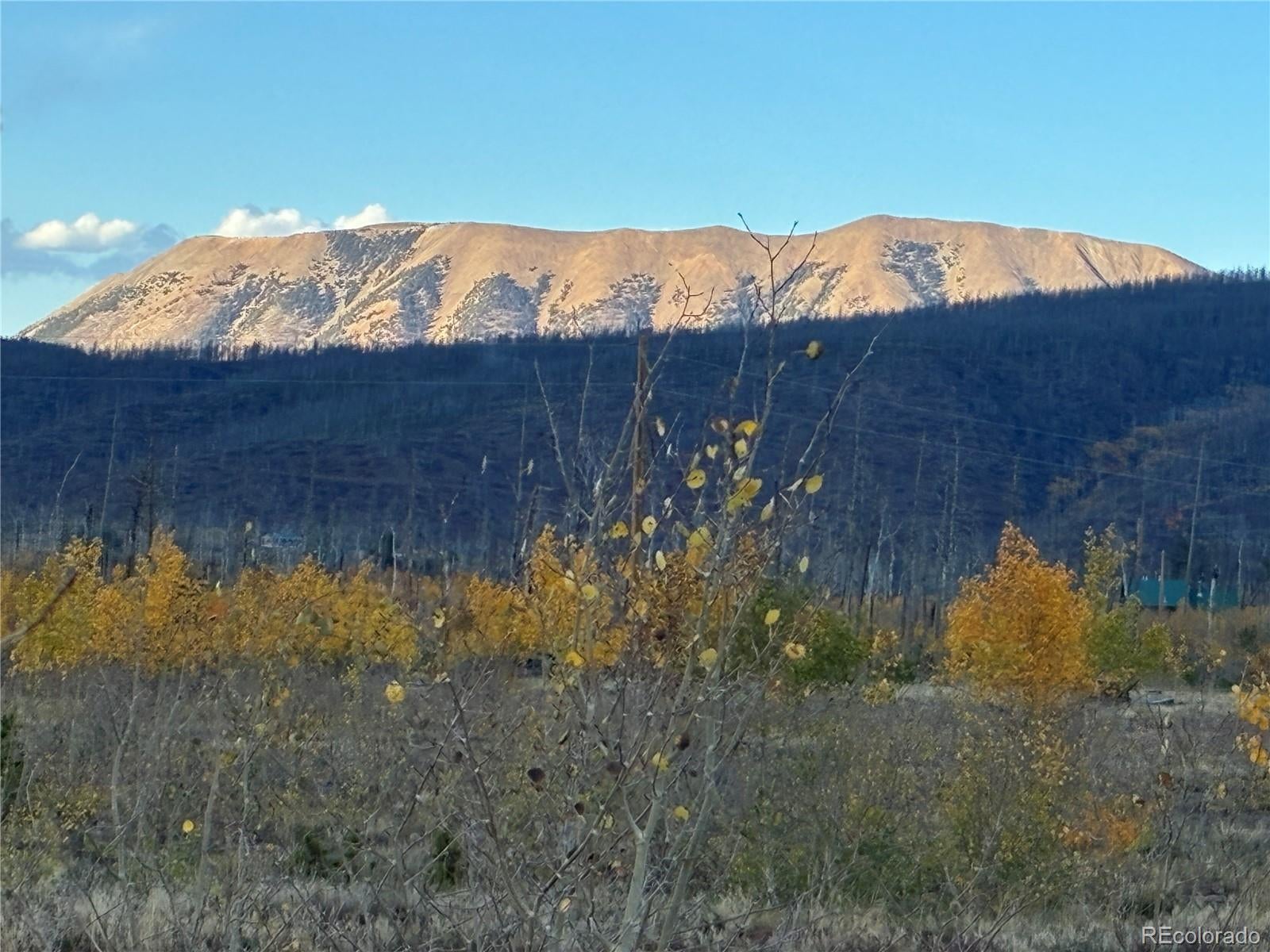 LOT 1368 Kings Lane