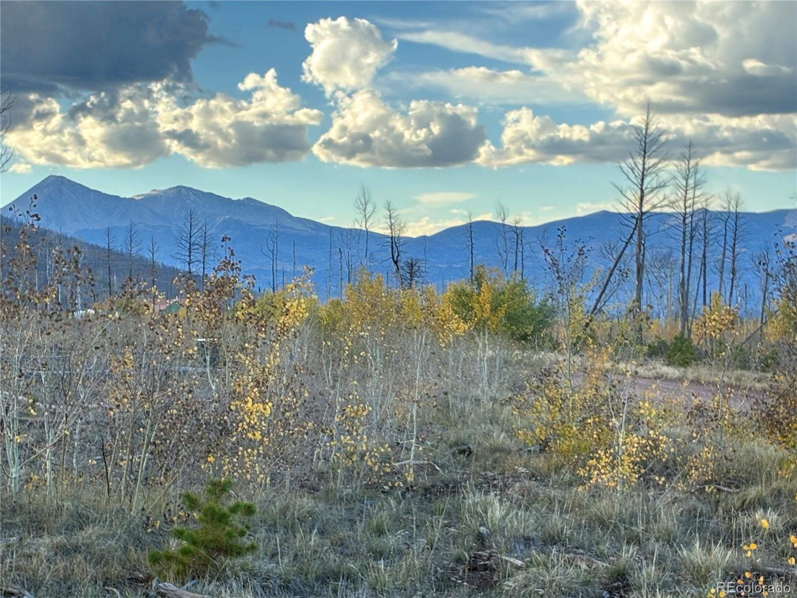LOT 1368 Kings Lane