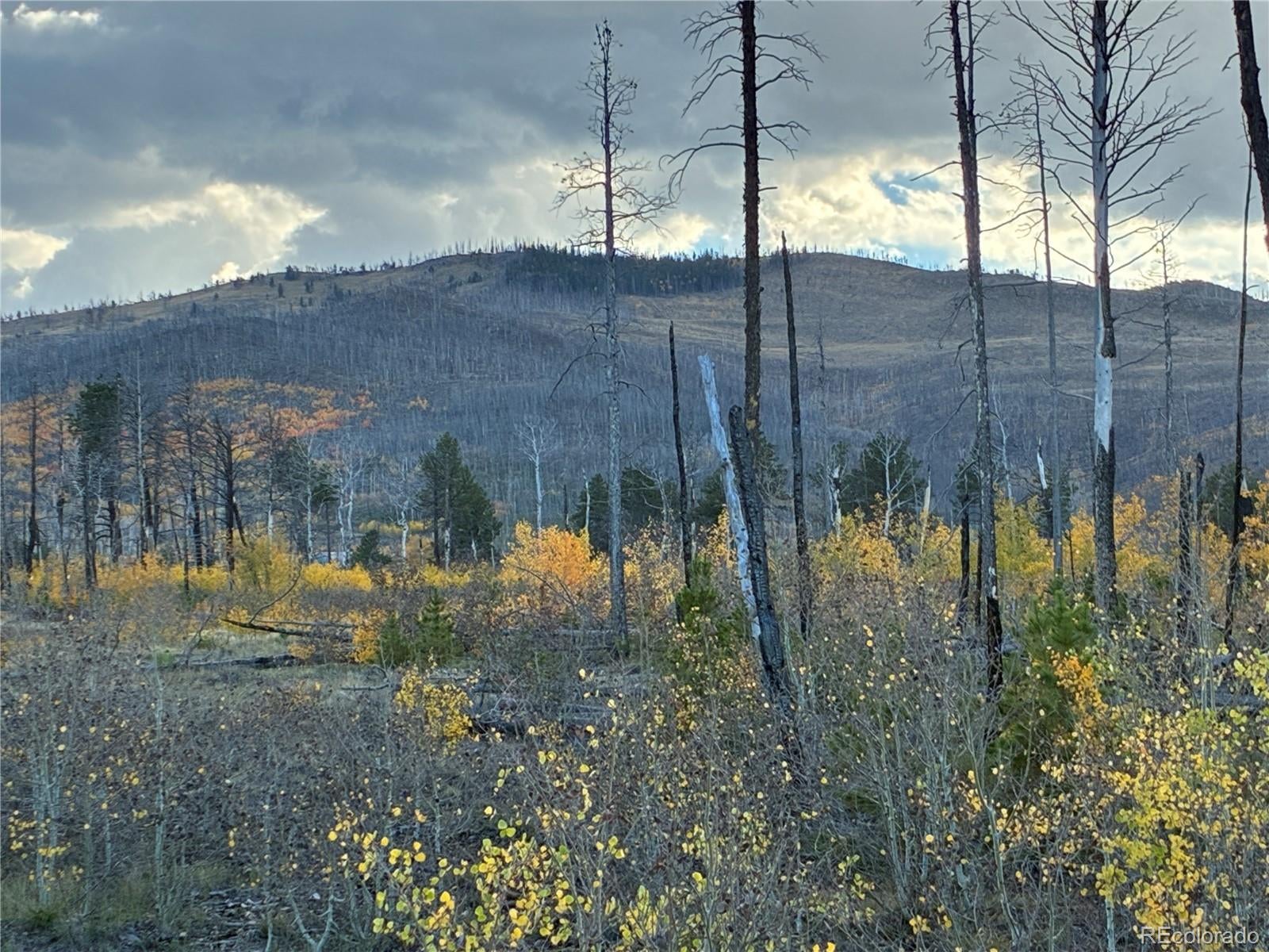 LOT 1368 Kings Lane
