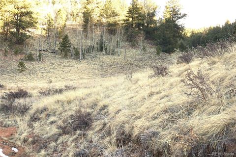 637 Valley Road Divide CO 80814