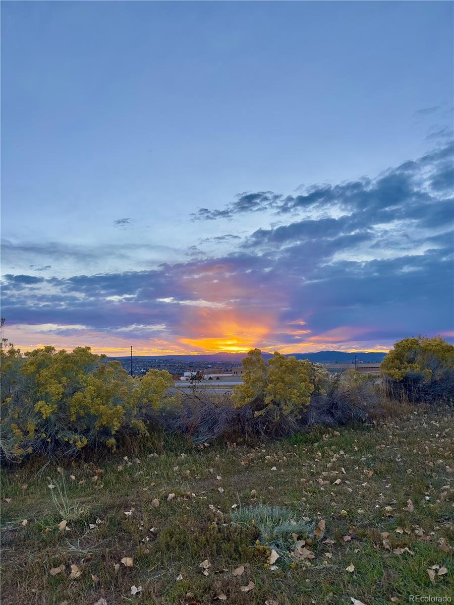 479 Black Feather Loop 319