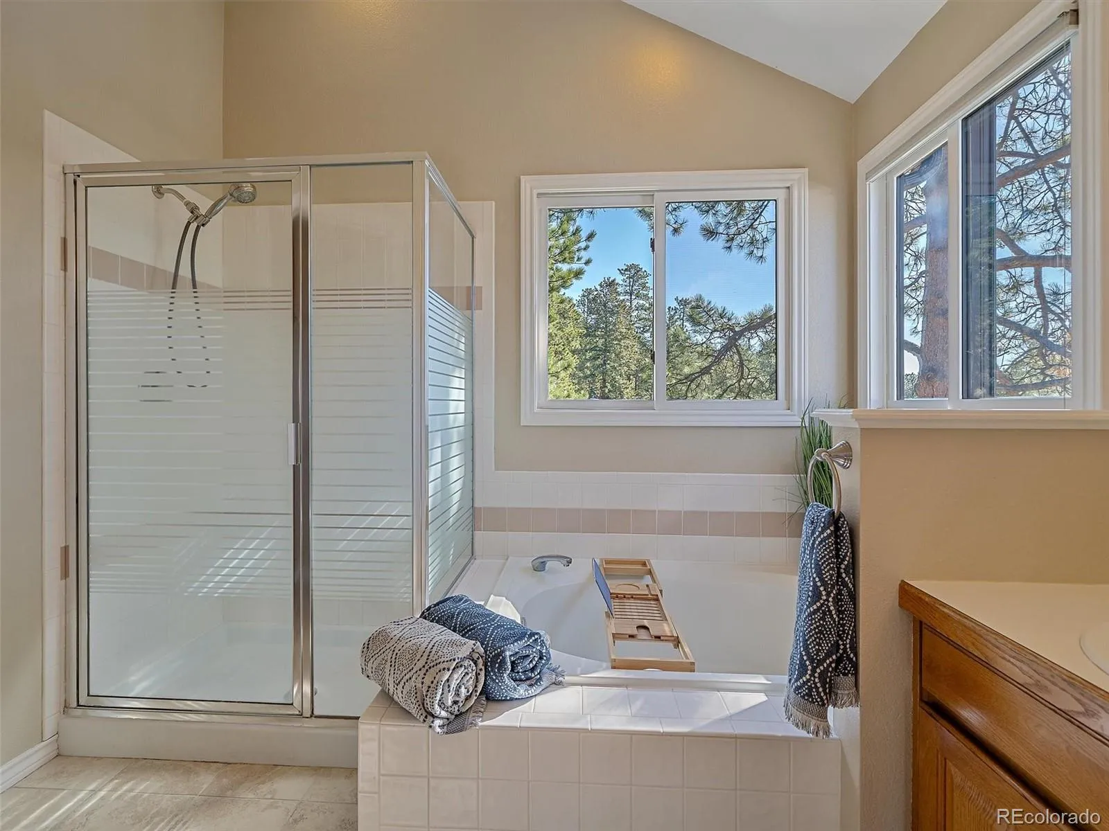 Evergreen, Colorado 80439, United States, 5 Bedrooms Bedrooms, ,4 BathroomsBathrooms,Residential,Active,126715