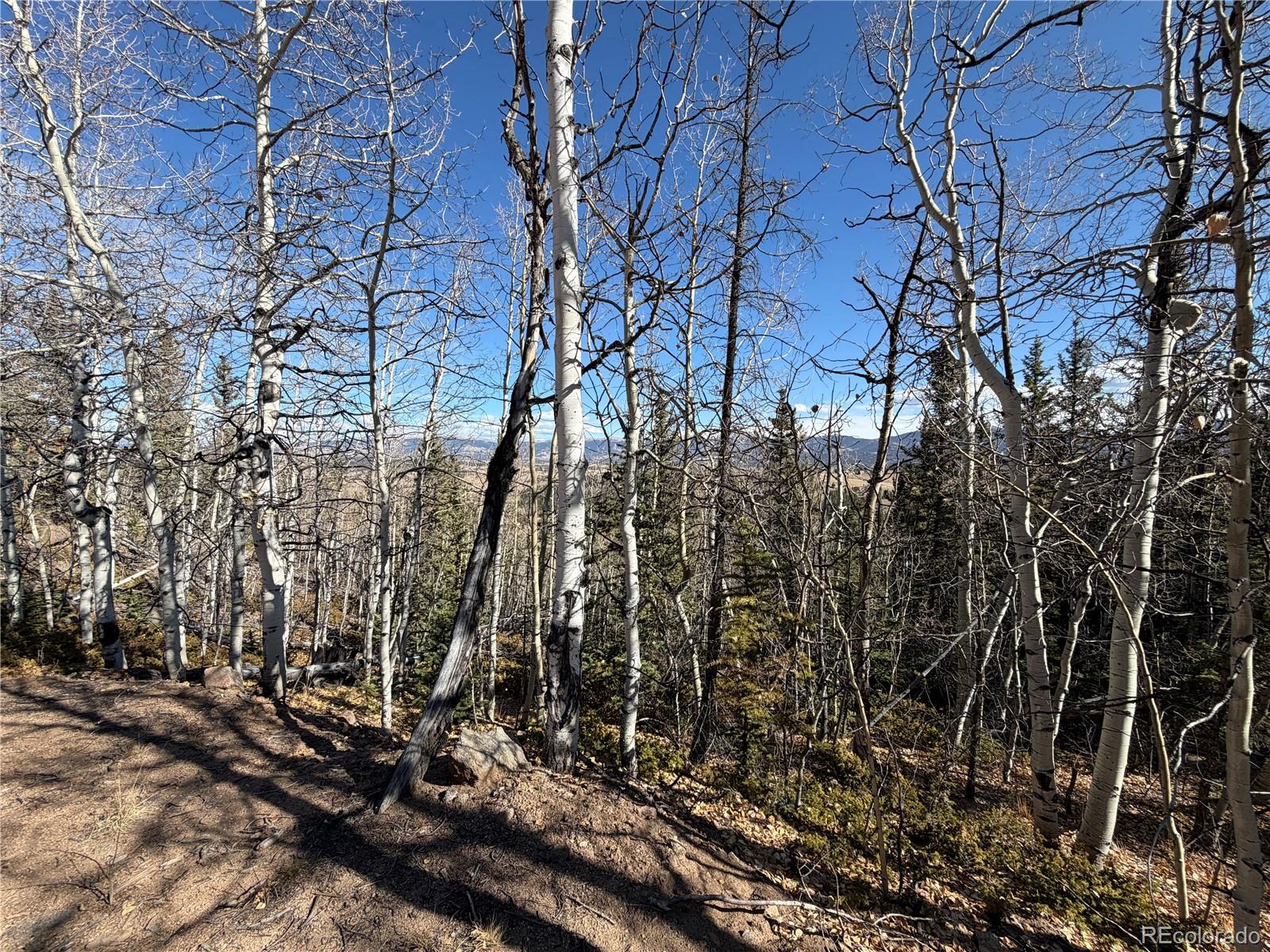 2201 Overland Circle