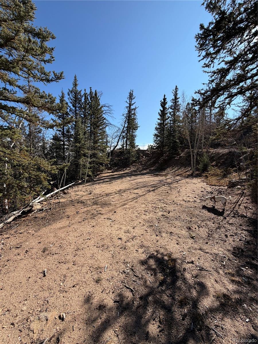 2201 Overland Circle