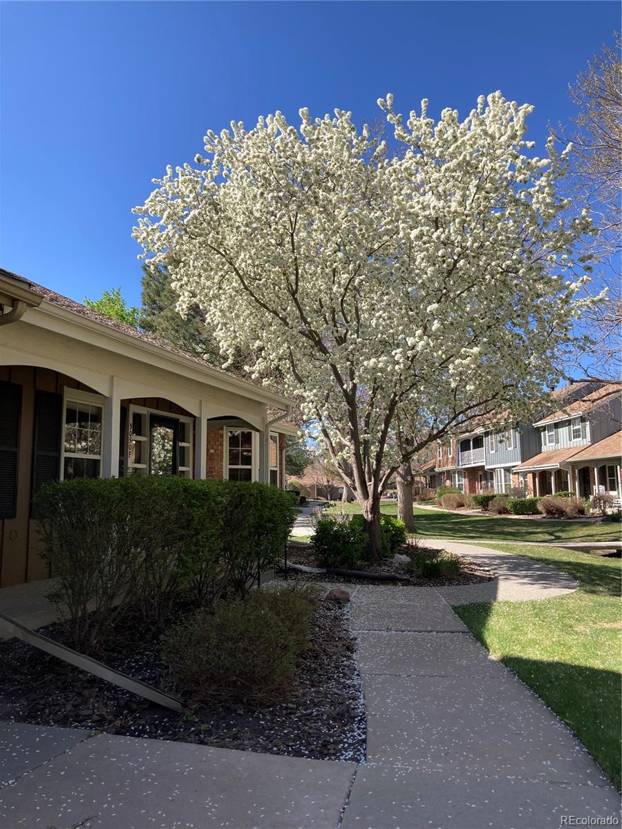 9050 E Cherry Creek South Drive F
