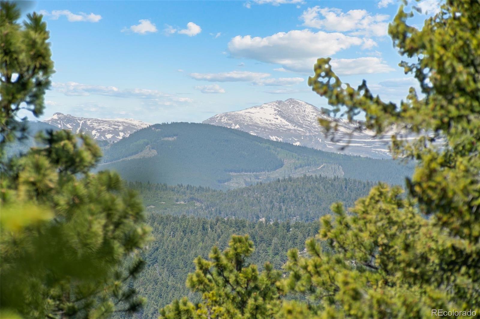 7845 Armadillo Trail
