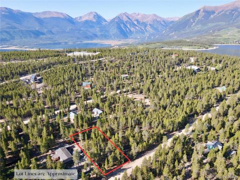 776 Birch Drive Twin Lakes CO 80461