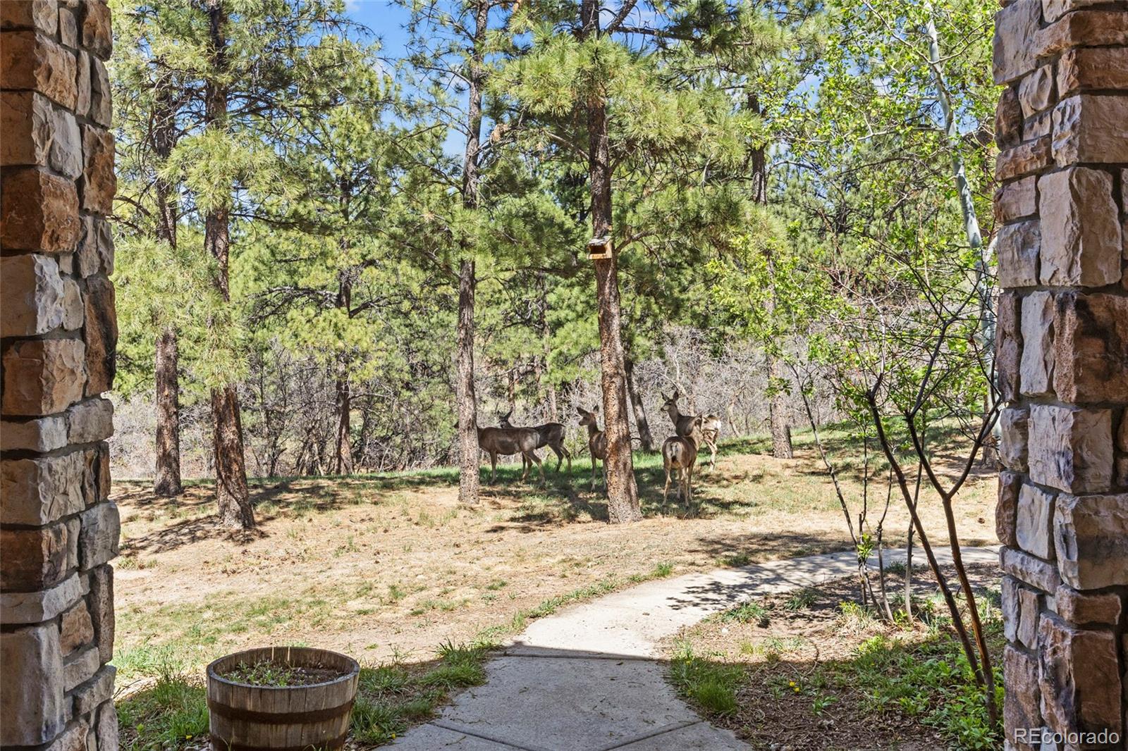 9676 S Perry Park Road