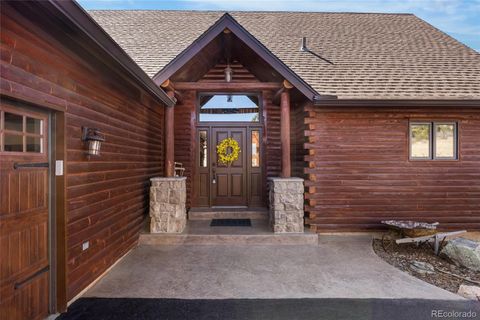 Photo of 685 Jesse Lane, Bailey, CO 80421 (MLS # 4874379)