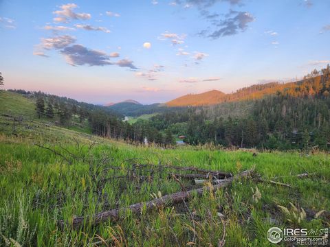13000 Rist Canyon Road, Bellvue, CO 80512 - #: IR991790