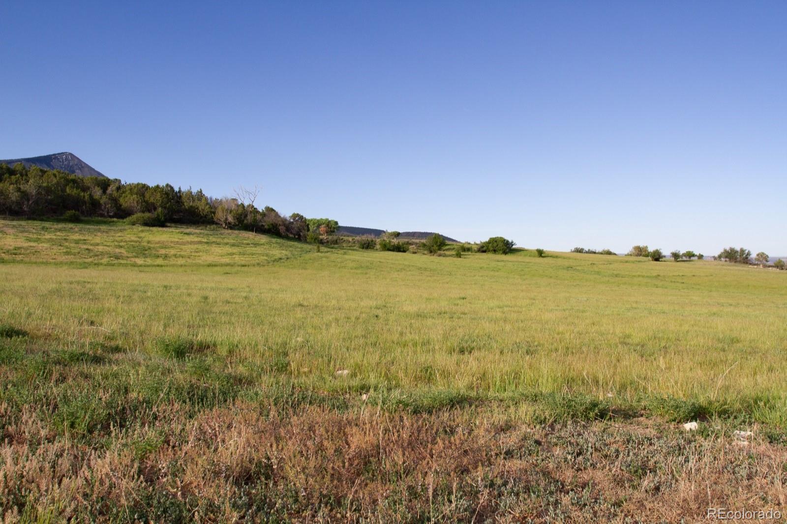 13010 Dry Gulch Road