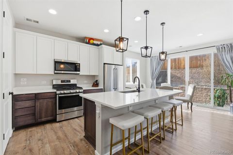 693 Blue Teal Drive Castle Rock CO 80104