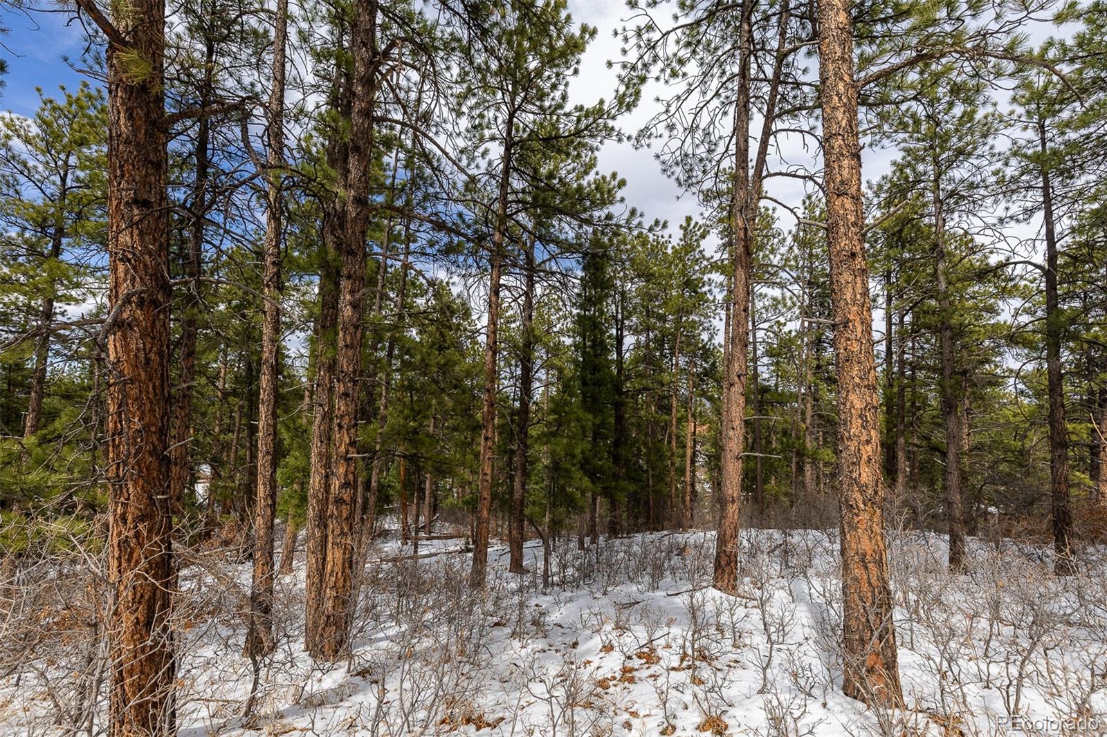 8122 Acoma Drive, Larkspur, CO, 80118 8122 Acoma Drive