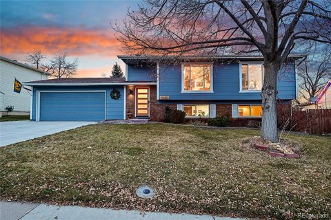 9135 W 96th Drive, Westminster, CO 80021 - #: 5056833