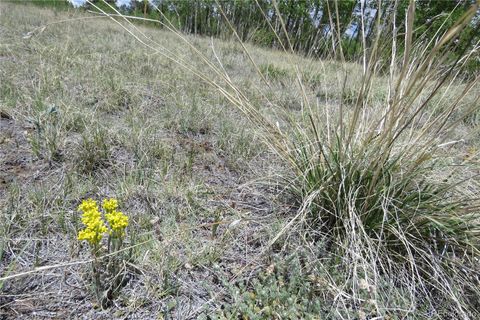 Unimproved Land in Jefferson CO 437 Overland Circle 21.jpg