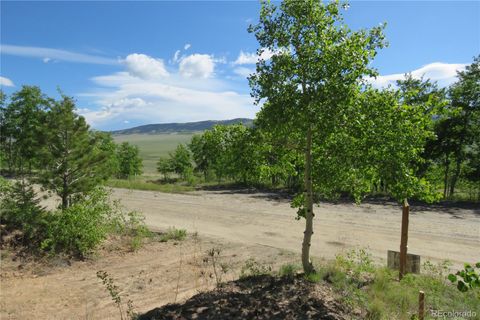 Unimproved Land in Fairplay CO 2925 Redhill Road.jpg