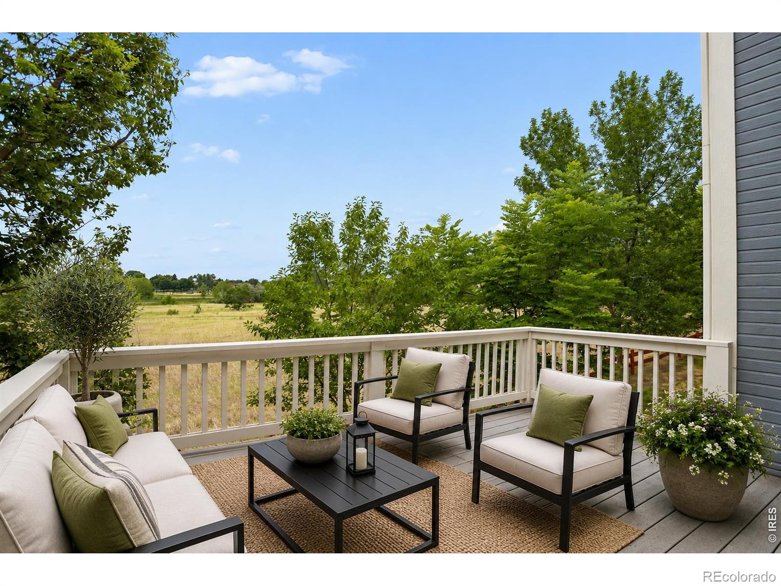 544 Wild Ridge Lane
