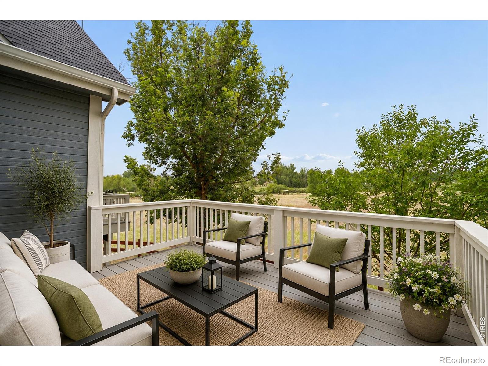 544 Wild Ridge Lane