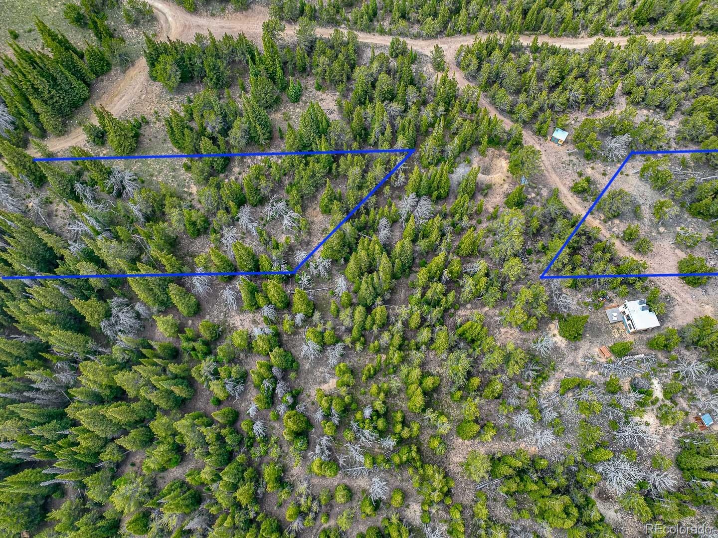123 Mosquito Creek Road