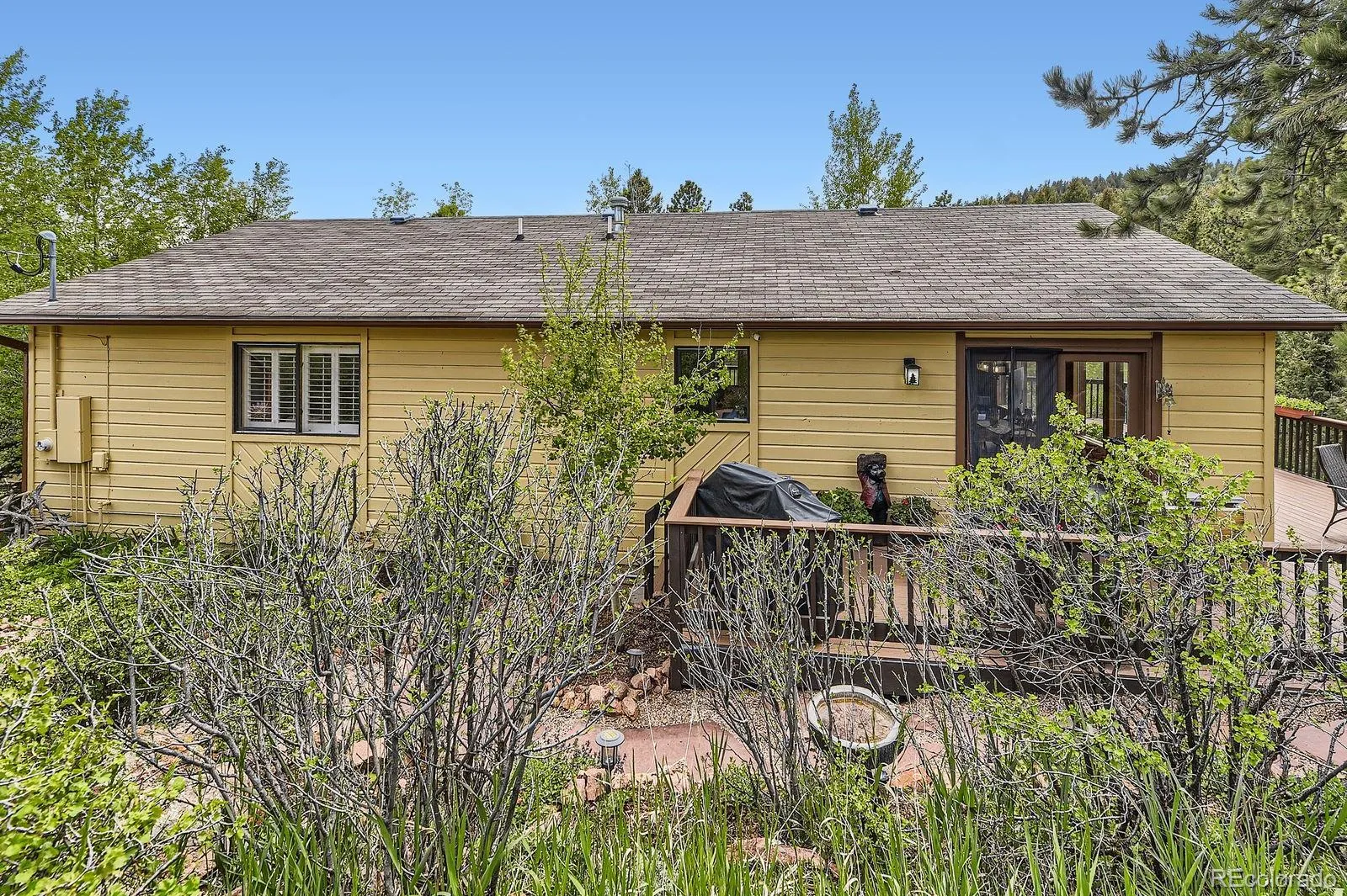 Pine, Colorado 80470, United States, 3 Bedrooms Bedrooms, ,3 BathroomsBathrooms,Residential,Active,146158