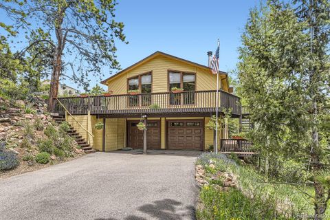 33799 Warren Road Pine CO 80470