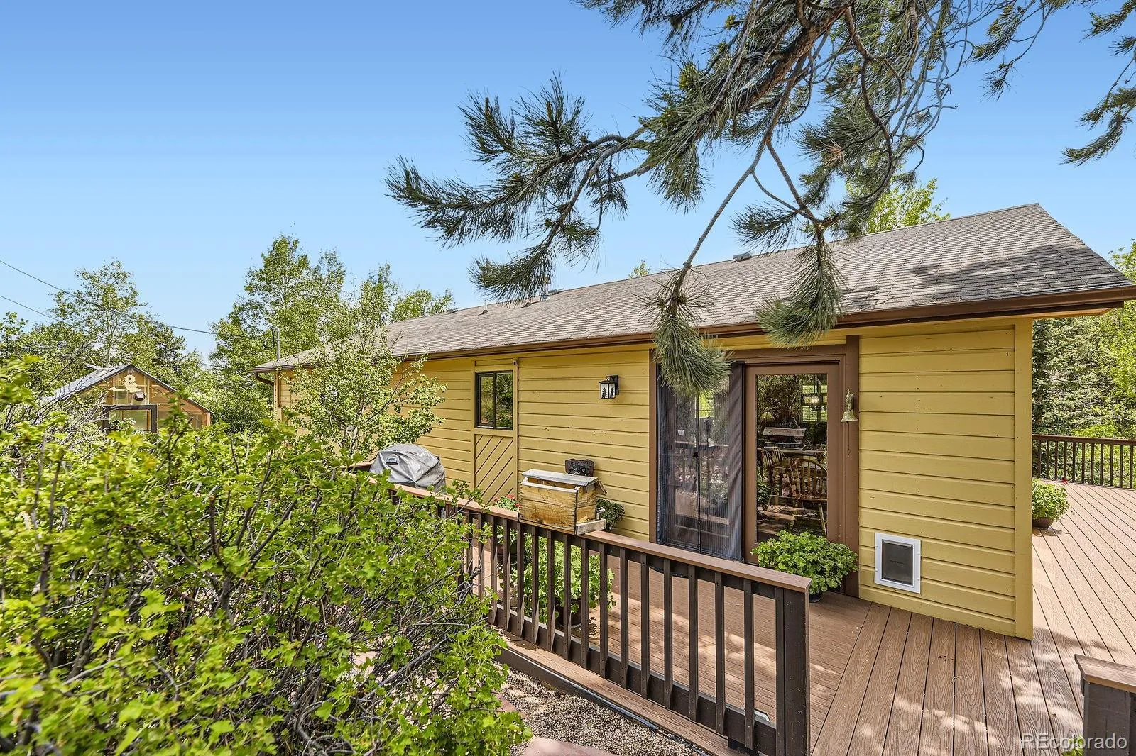 Pine, Colorado 80470, United States, 3 Bedrooms Bedrooms, ,3 BathroomsBathrooms,Residential,Active,146158