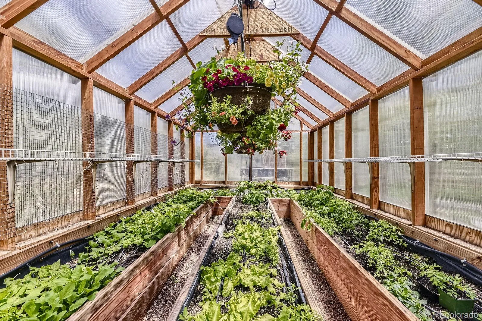 Pine, Colorado 80470, United States, 3 Bedrooms Bedrooms, ,3 BathroomsBathrooms,Residential,Active,146158