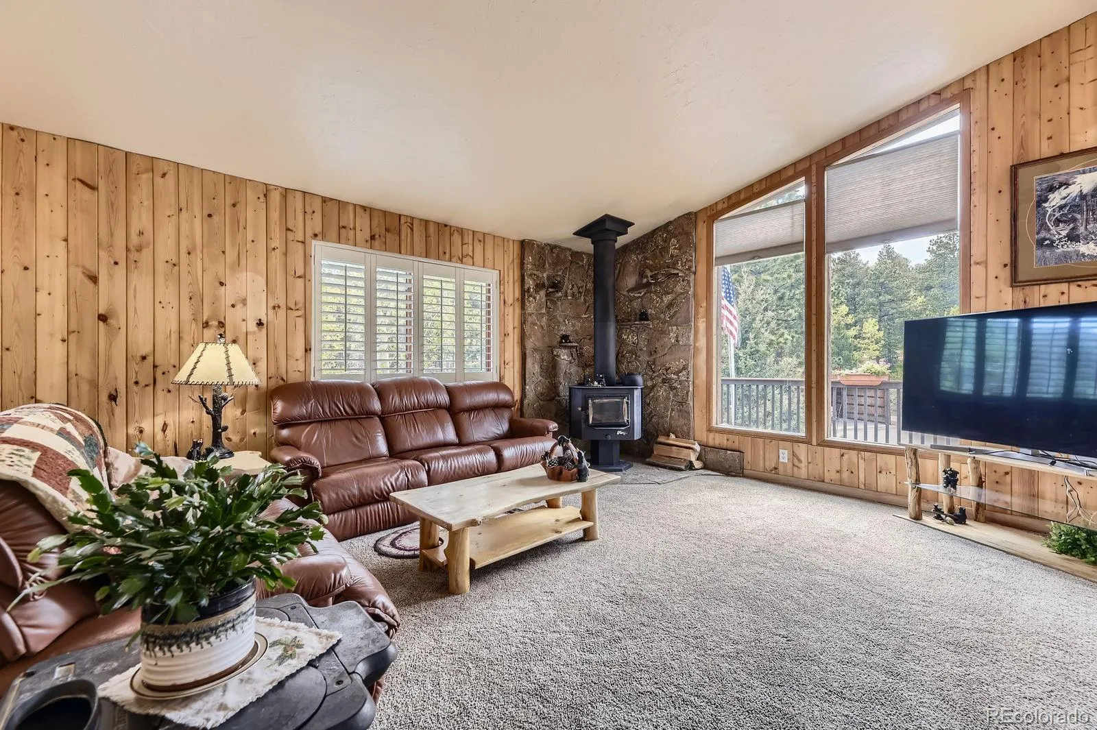 Pine, Colorado 80470, United States, 3 Bedrooms Bedrooms, ,3 BathroomsBathrooms,Residential,Active,146158