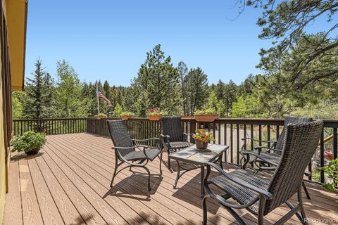 33799 Warren Road Pine CO 80470